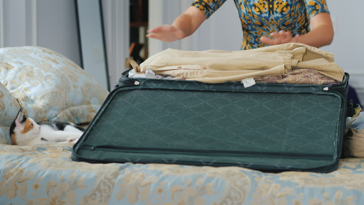 여자는 큰 여행 가방에 옷을 넣고 고양이는 옆에 앉는다