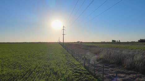 forward aerial of green fields, powerlines and low sun at the pampas