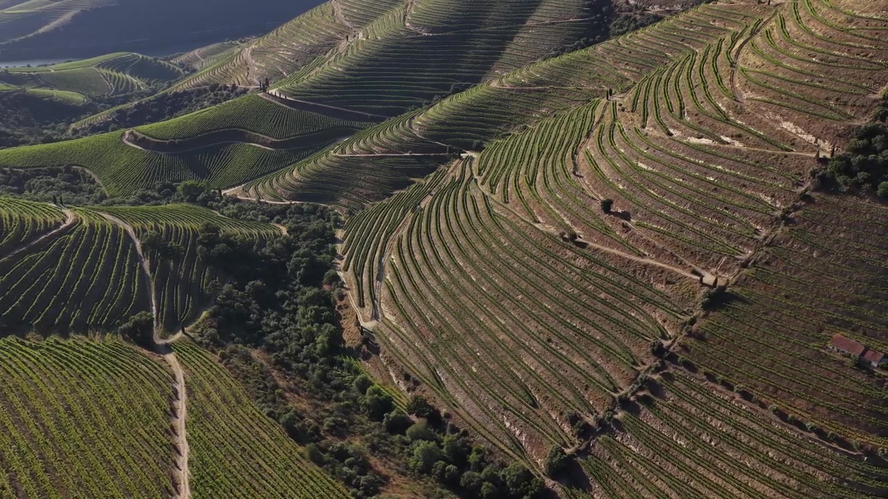 Ripresa cinematografica con drone dei ripidi pendii della regione vinicola della Valle del Douro, patrimonio UNESCO