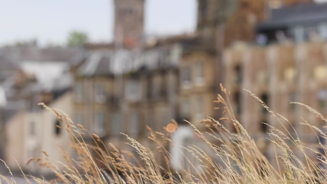 세인트 앤드류스 골프 코스의 풍경