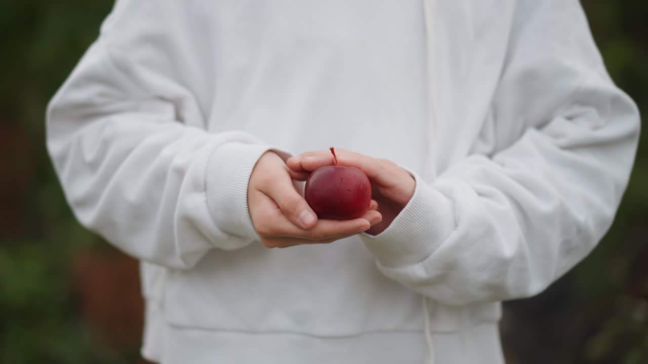 Mani che tengono una mela rossa all'aperto, maglione bianco morbido e sfondo nuvoloso. Primo piano dei palmi che presentano un frutto maturo; un leggero movimento tra i fotogrammi suggerisce un raccoglitore, un giardiniere, un amico che condivide, autunnale.