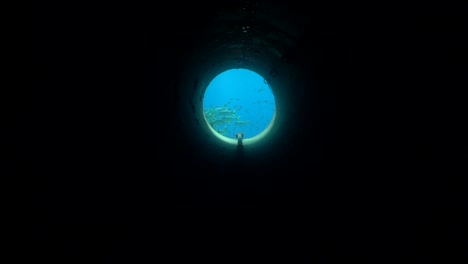 swimming through a dark underwater pipe or tunnel, the ocean’s blue emerges ahead. a school of fish feeds before the exit, revealing a thriving caribbean reef with vibrant corals.
