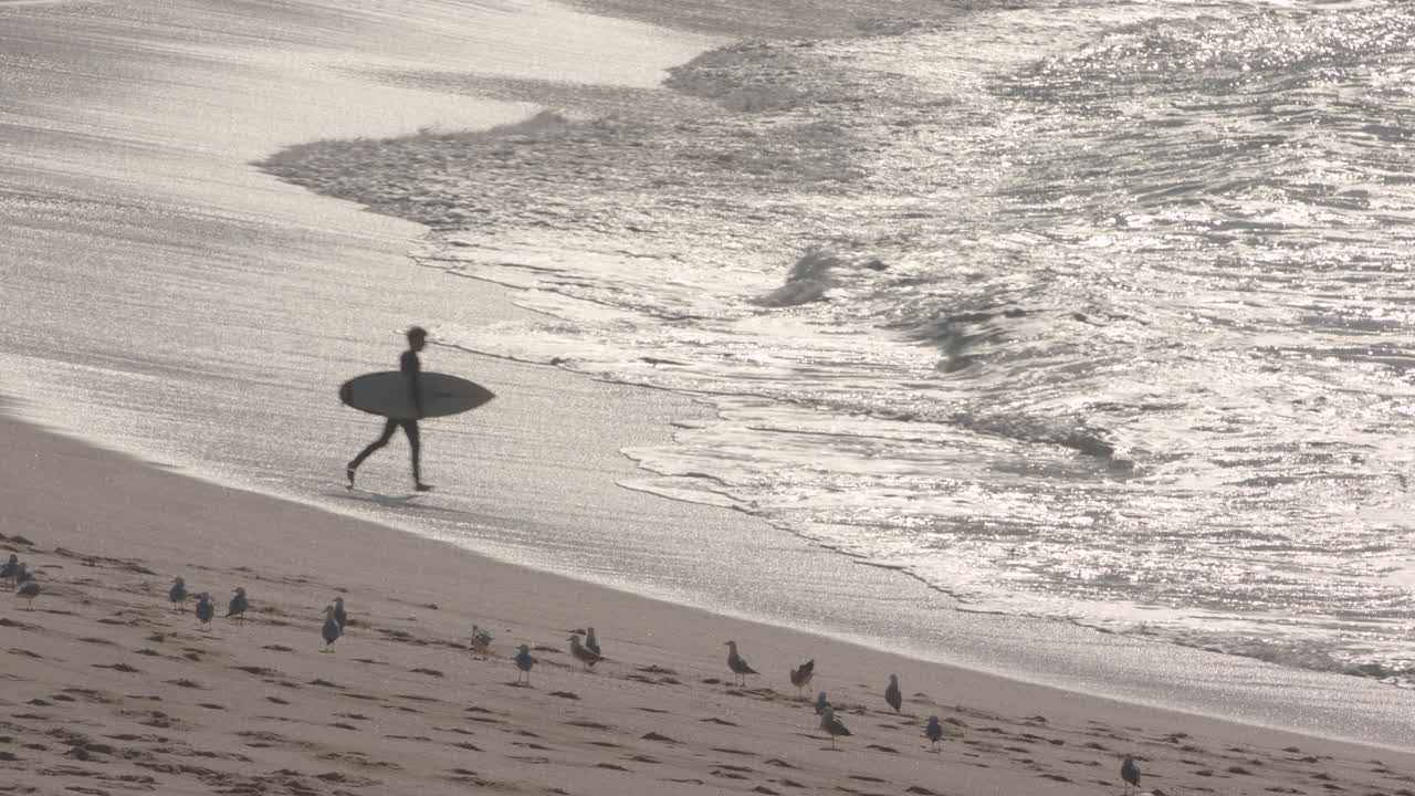A Surfer Runs out in the early morning for a surf at sydneys famous bondi beach