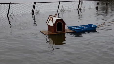 flooded dog house and crate