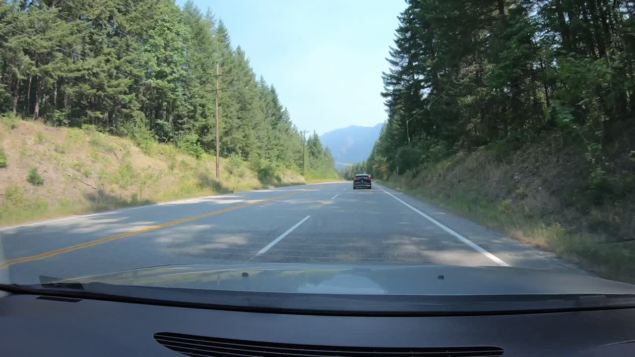 숲 풍경을 통해 운전하는 승용차에서 시간 경과 pov