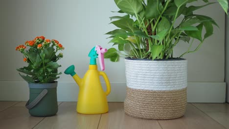 houseplants and watering can