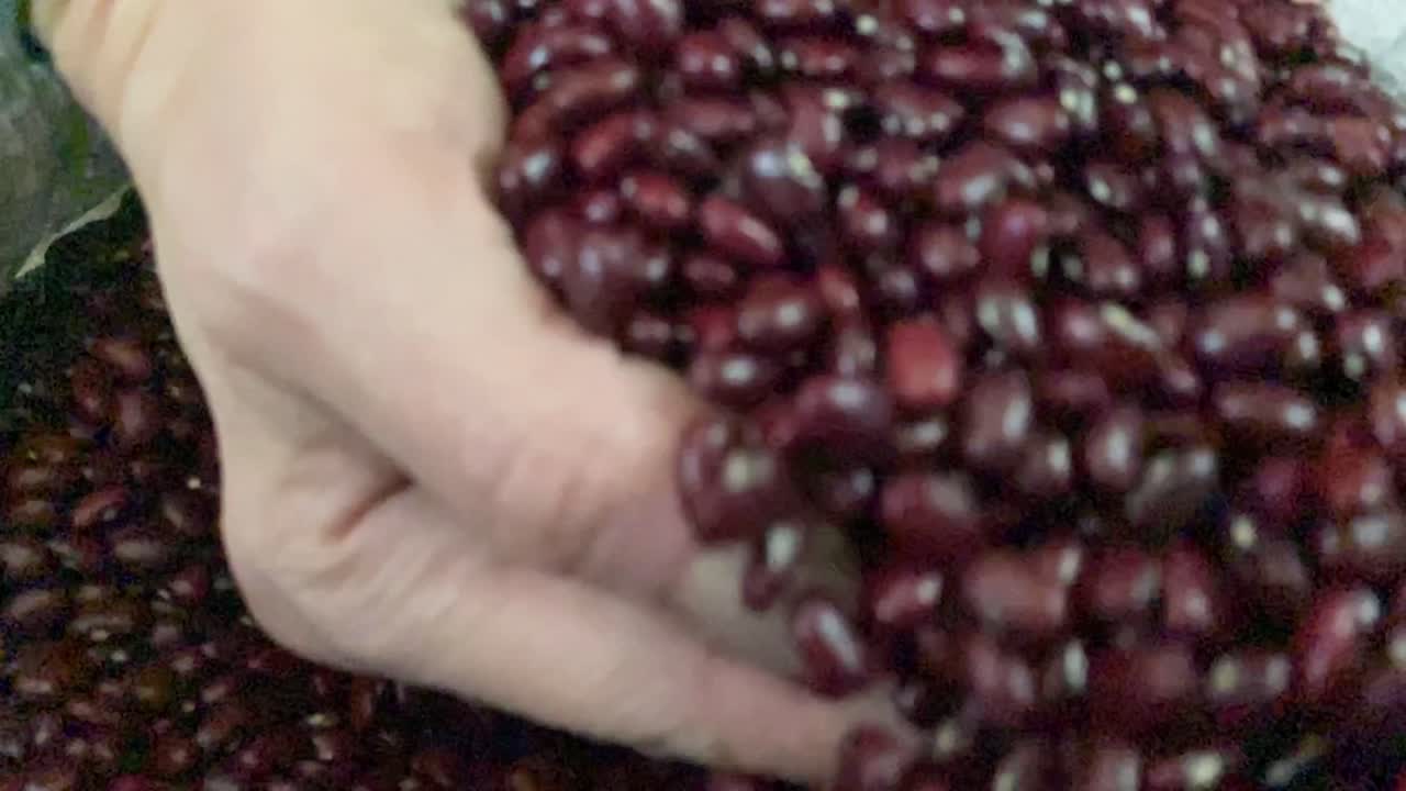 semillas secas crudas, cosecha de frijoles, comida tradicional brasileña, cámara lenta