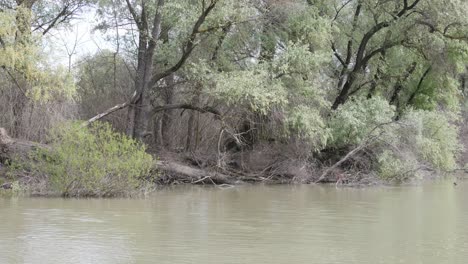 Naturschutzgebiet-Donaudelta