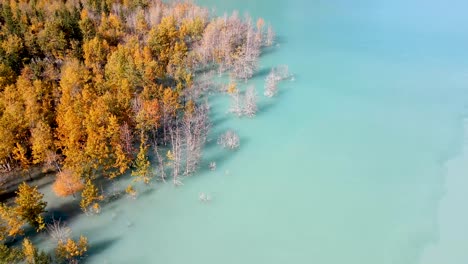 drone flying backward over trees and lake in alberta