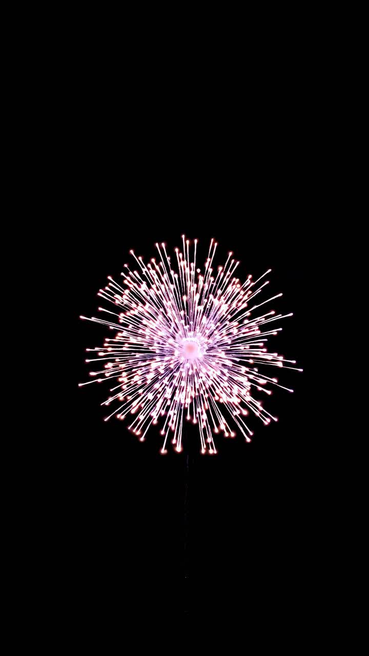 A vibrant firework explodes against a black sky, captured from a low-angle