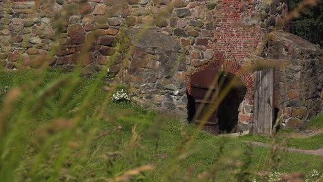 a view of russia's ancient fortress door, over the shrubs making the first world view