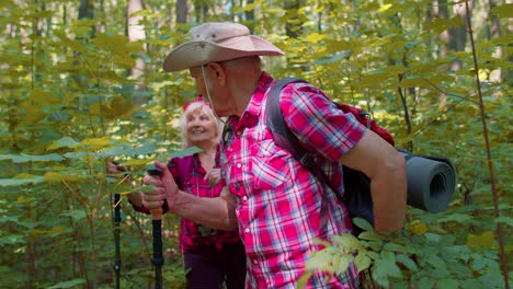 una pareja de abuelos mayores teniendo una conversación, entrenando la caminata nórdica con palos de trekking en madera