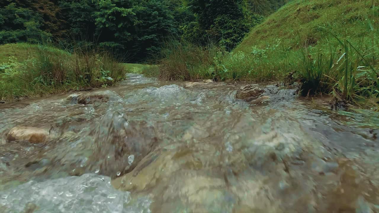 Dolly in camera movement showing a mountain stream-rapids with a meadow and a forest in the background at the Piatra Mare Carpathian Mountains