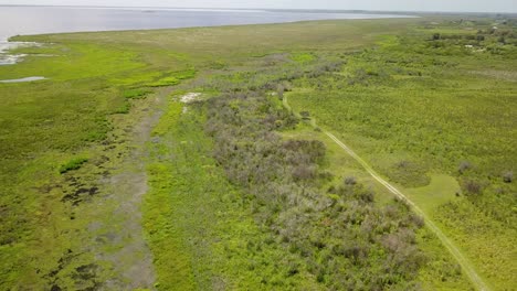 Wetlands-of-northeast-Argentina-shooted-with-drone