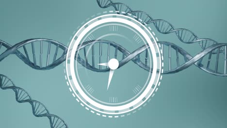 Digital-clock-ticking-over-dna-structures-spinning-against-blue-background