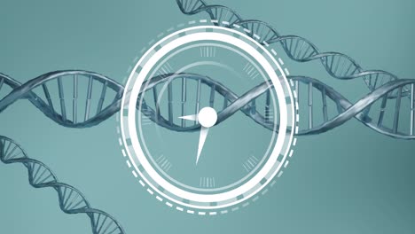 reloj digital haciendo tic-tac sobre las estructuras de adn girando contra un fondo azul