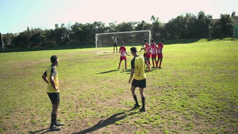playing soccer, team preparing for free kick on grassy field during match