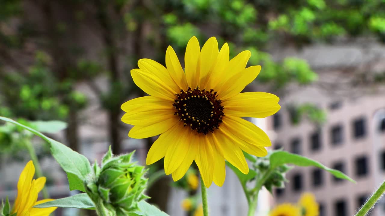 요코하마의 아름다운 풍경