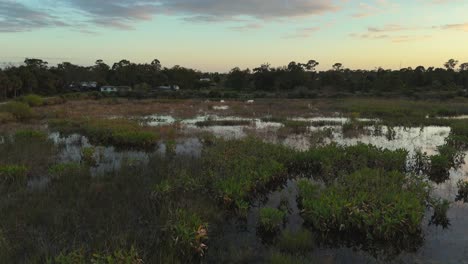 Luftaufnahme-Des-Powell-Creek-Preserve-In-Ft-Myers,-Florida