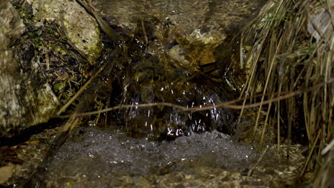 pristine water flowing on rocks with dead grass. tilt-down, slow motion