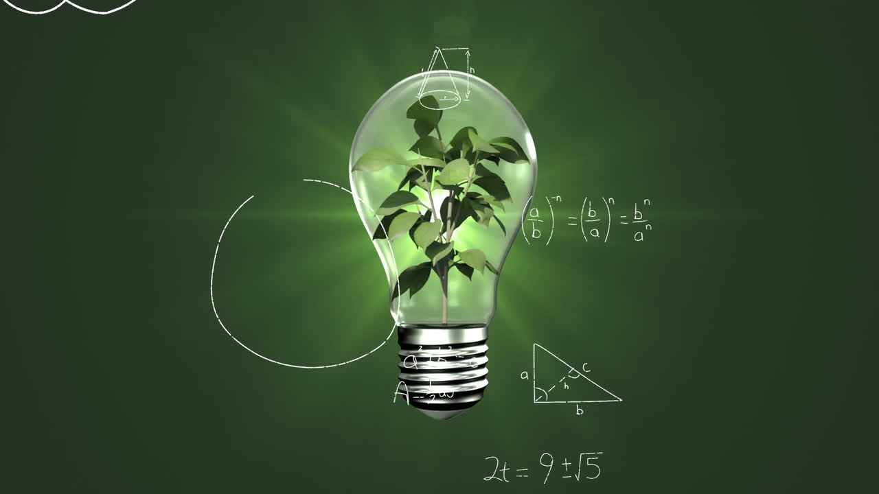 녹색 빛의 반점에 대한 전구 내부의 식물에 대한 수학적 방정식의 애니메이션