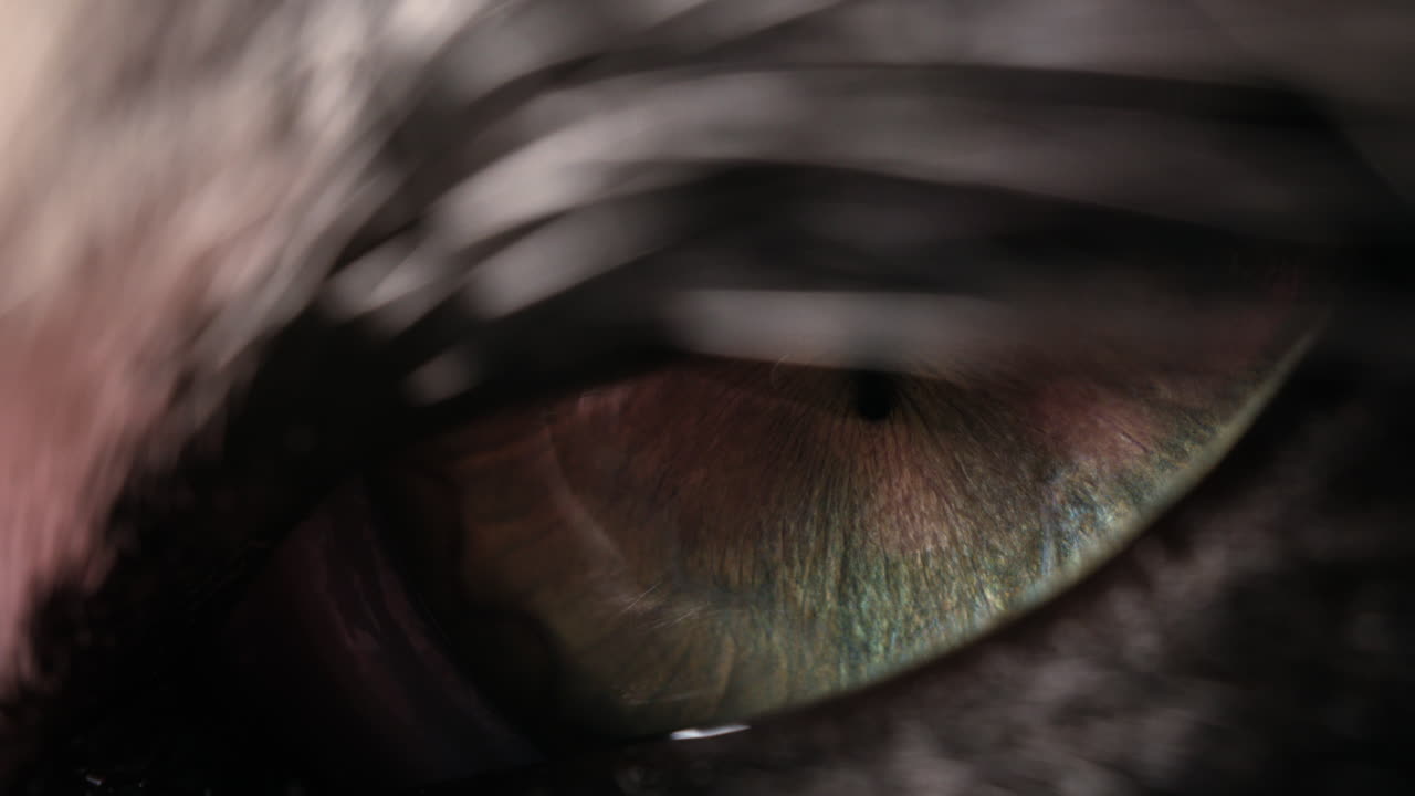 Extreme macro shot of cat's eye, pet going to sleep