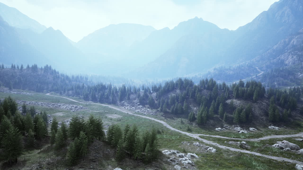 valle de montaña brumosa con bosque de pinos