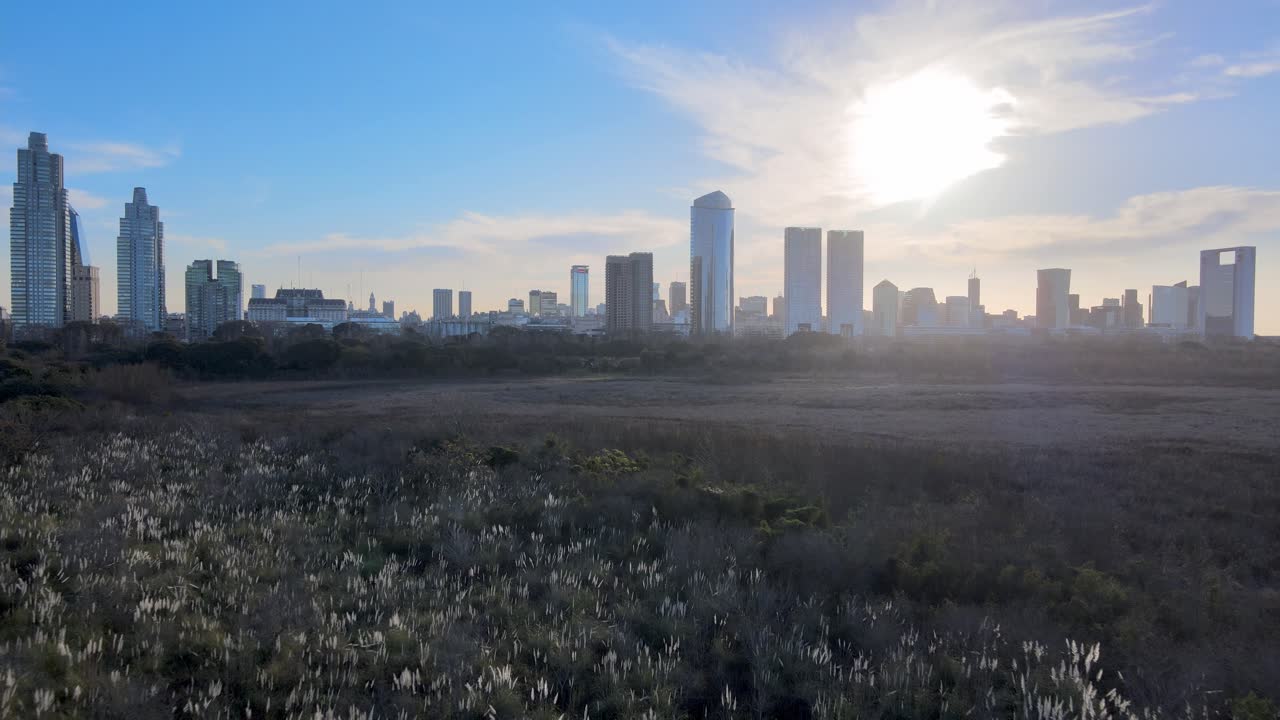 Juxtaposition - Ecological Reserve next to metropolis of Buenos Aires