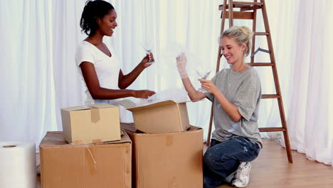 Two friends moving together in a new house