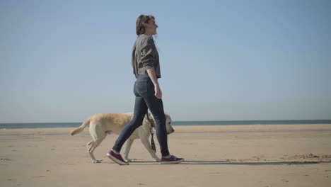 relaxed young woman walking with labrador on sandy beach.