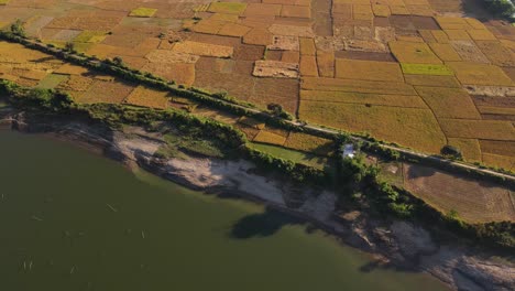 Campo-De-Arroz-Junto-A-La-Orilla-Del-Río-Surma,-Bangladesh