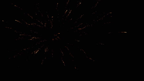 fuegos artificiales explotando contra un fondo negro