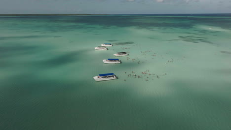 aerial view of boats and people swimming in turquoise water