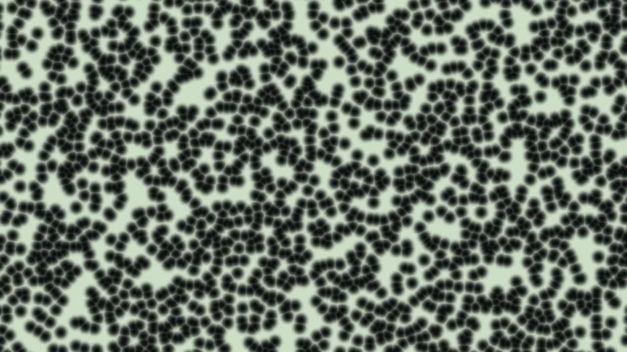 bacterias bajo el microscopio en un fondo claro