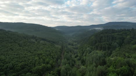 aerial turkey green environment forest zone