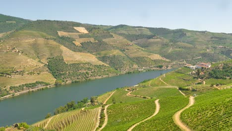 Valle-Del-Duero-Con-Hermosas-Terrazas-De-Viñedos,-Mirando-Hacia-El-Río.