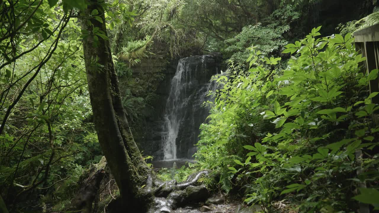 Water falling down rocks in a forest at McLean Falls, Catlins, New Zealand.