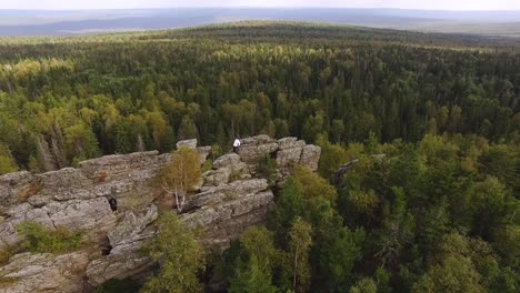 aerial view of rocky clifftop overlooking forest