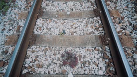 feet standing on railway sleeper with pan up reveal of empty station platform