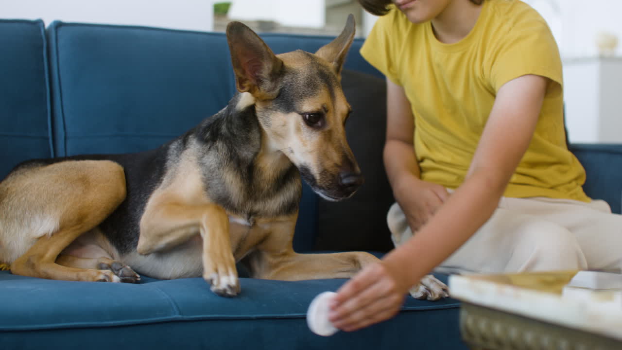 chica y perro en casa