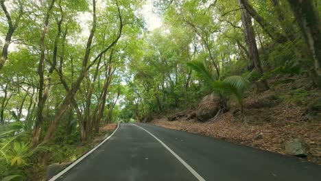 conduciendo en un camino increíble entre el bosque y la vegetación exuberante, rocas y árboles a ambos lados de la carretera, mahe seychelles 5