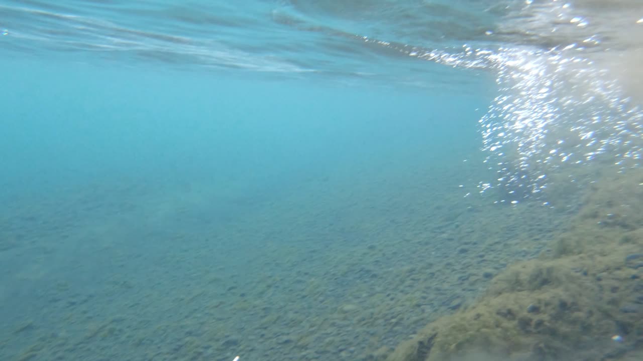 liberando una trucha de mar de 6 libras cougt en islandia