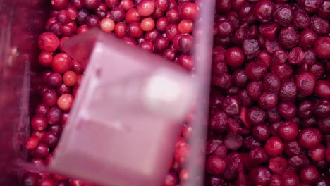 Verschiedene-Rote-Beeren-In-Einem-Schaufenster-In-Einem-Supermarkt