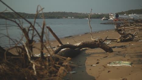 an establishing shot of the natural debris and decaying trees washed up onto the bank of the mandovi river, the beautiful environment covered in litter and garbage, goa, india