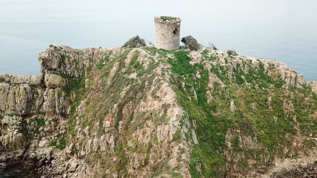 torre degli appiani на острове пунта-ала, италия