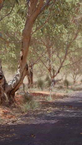 a road winding through the bush, with a line of trees to the side.