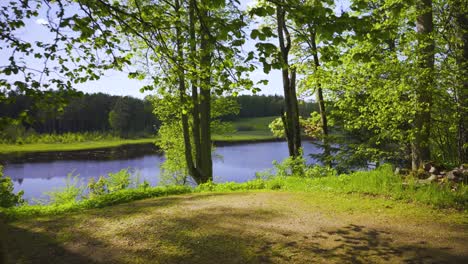 view of the lake in the park in spring
