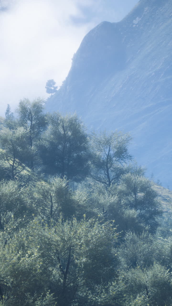 Lush green mountains and misty valleys create a breathtaking landscape