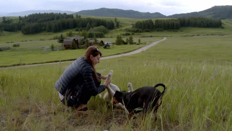 Woman,-dog-and-young-grey-wolf-playing-while-going-for-a-walk