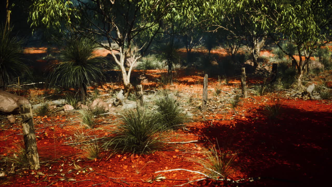 나무 기둥 을 가진 오래된 시골 가시 와이어 울타리